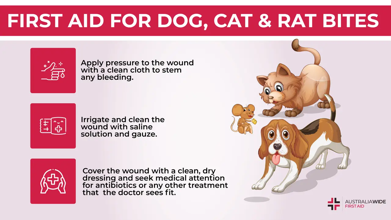 An Infographic about First Aid for Dog, Cat, and Rat Bites