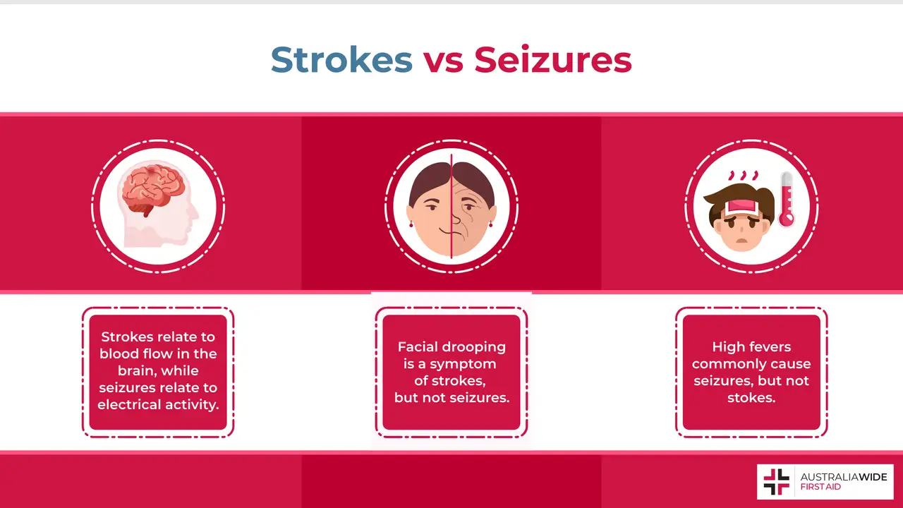 Infographic on Differences between Strokes and Seizures